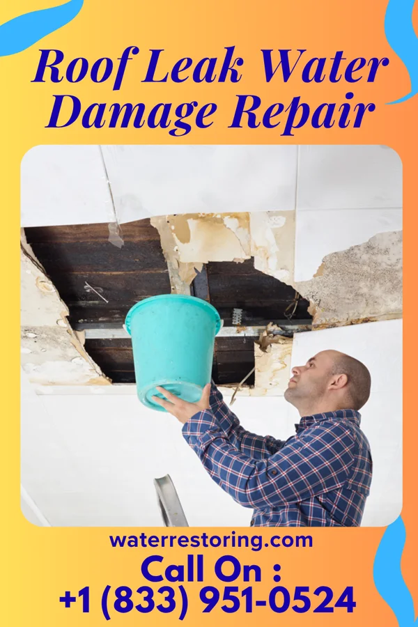 Roof Leak Water Damage Repair in Rawlins, WY